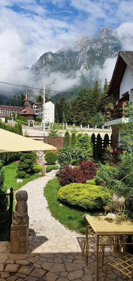 Villa Ermitage Buşteni Exterior foto